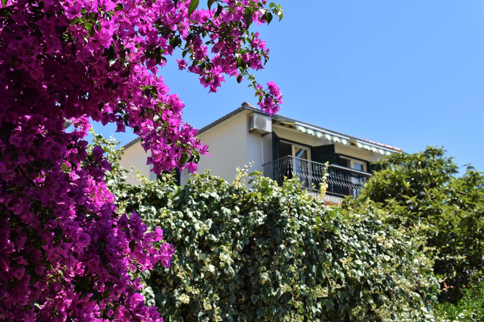 Lina Vrankovic Apartments フヴァル エクステリア 写真