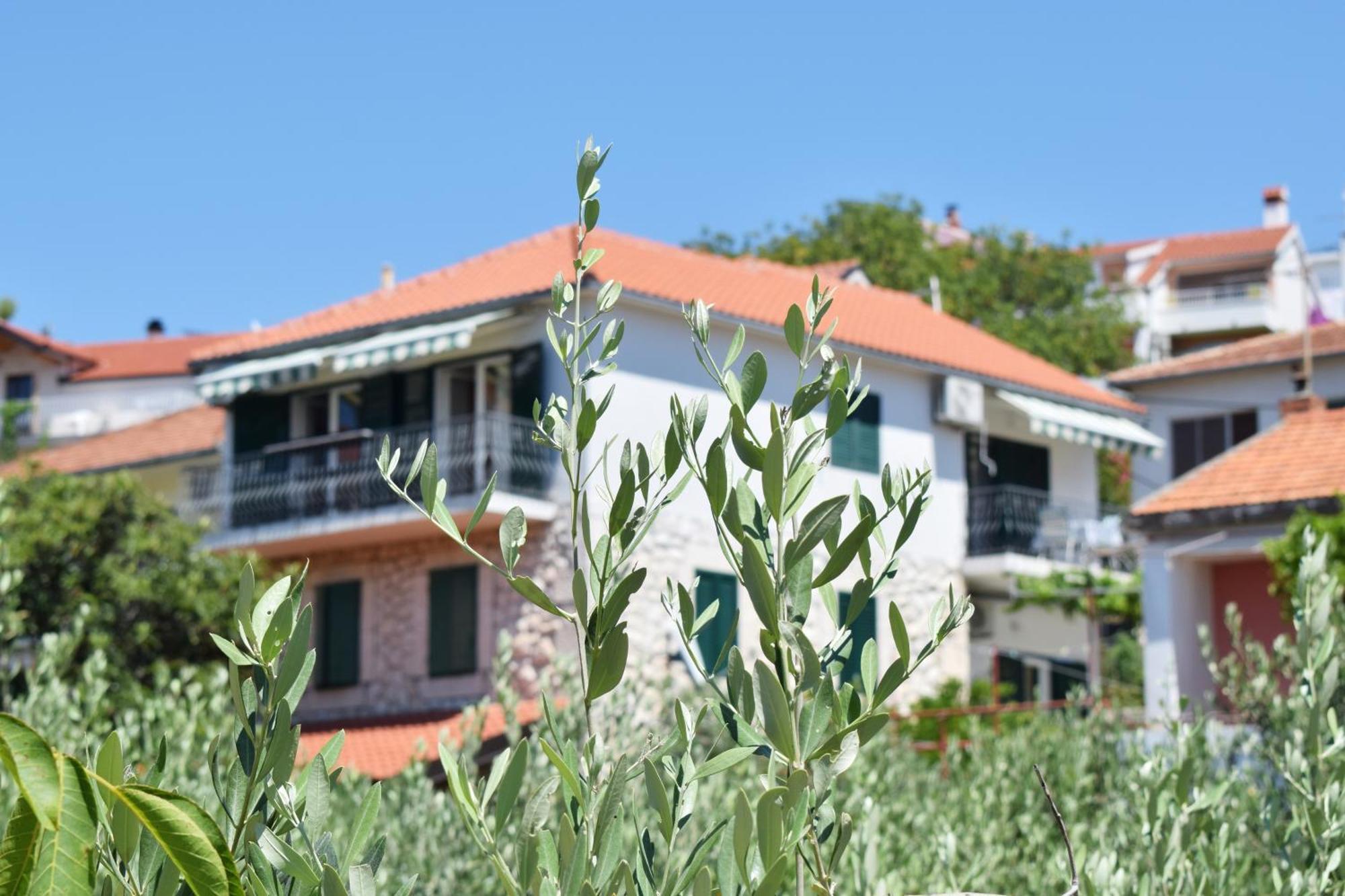 Lina Vrankovic Apartments フヴァル エクステリア 写真